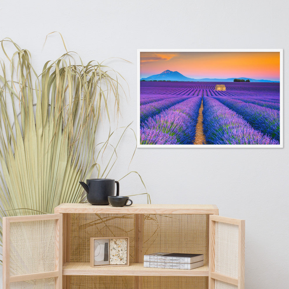 Blooming Lavender Field and Sunset Floral Landscape Framed Photo Wall Art Prints, White, 24" X 36"
