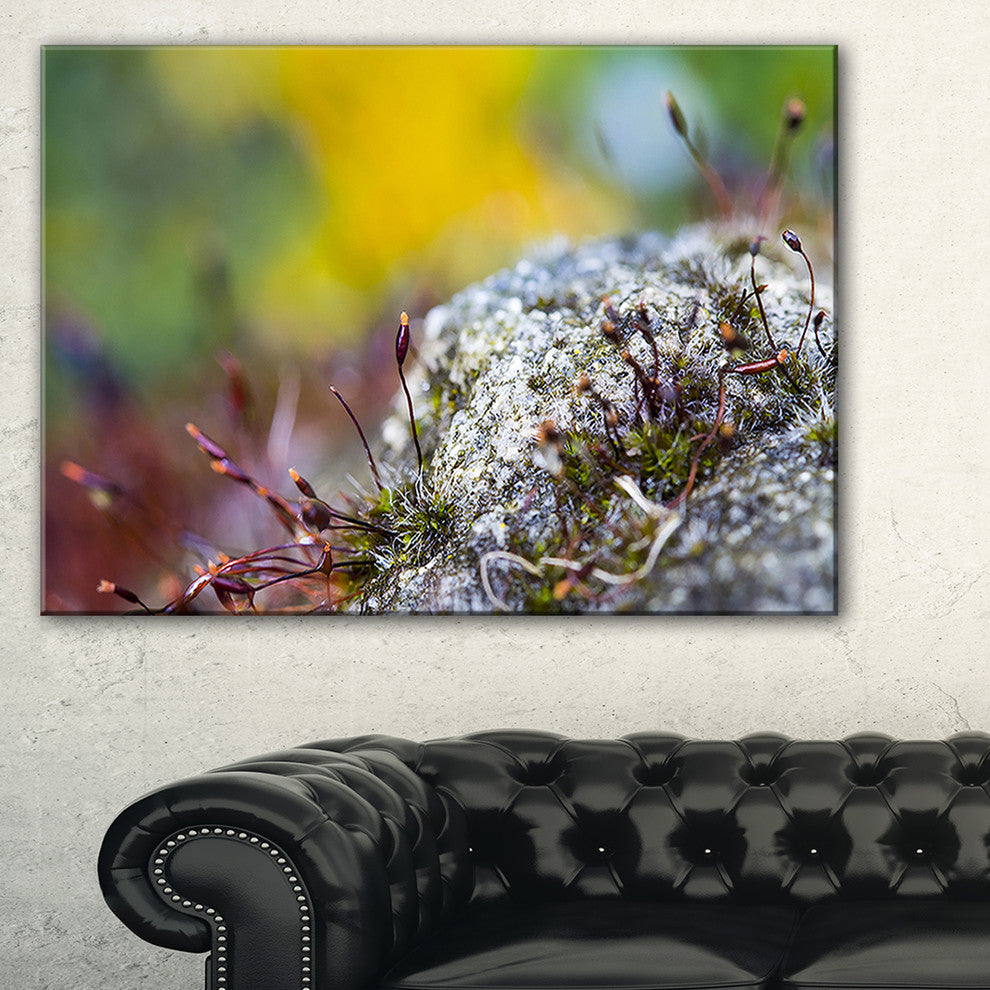 "Abstract Composition of Moss Flowers" Landscape Wall Art, 32"x16"