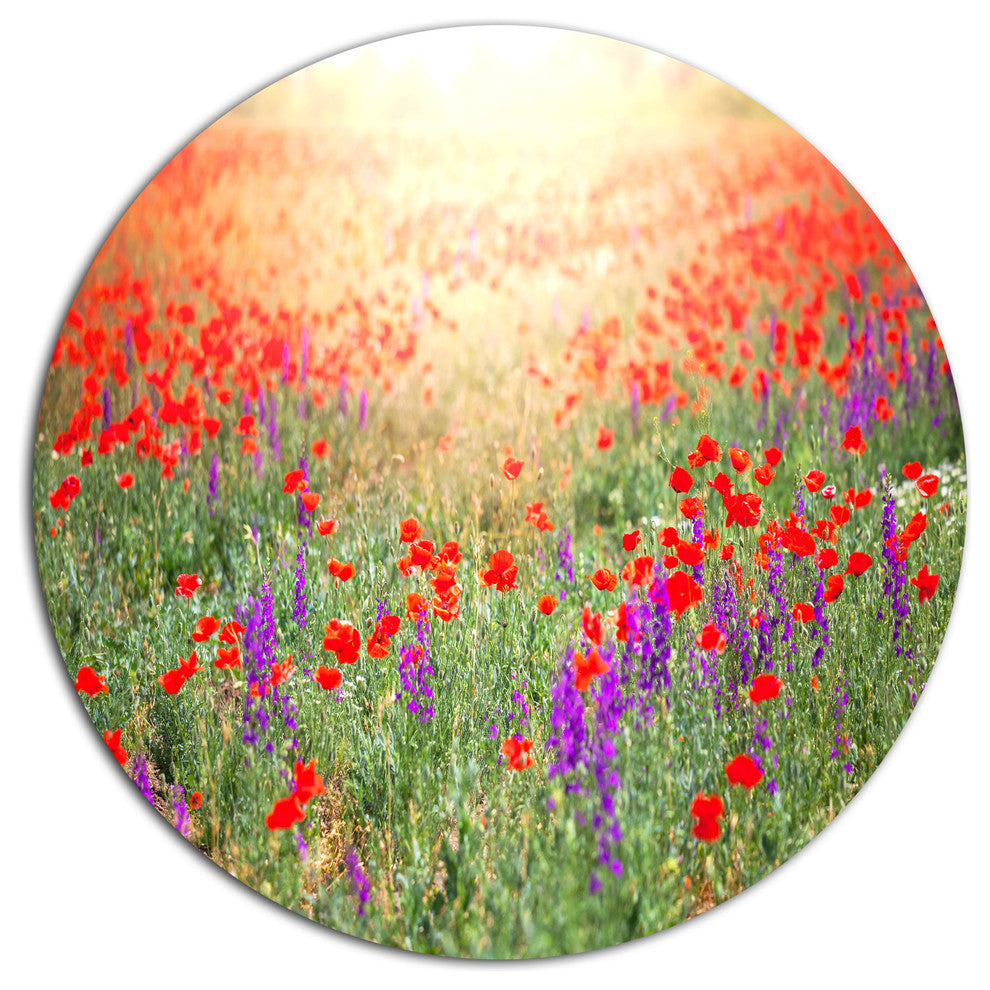 Expansive Poppy Field At Sunset, Flower Round Metal Wall Art, 23"