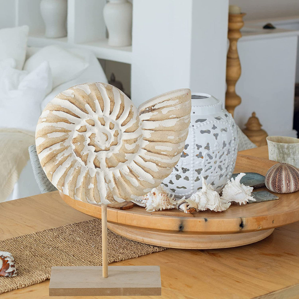 Abstract Nautilus Table Sculpture, 11 Inches