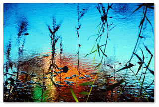 'Painted Nature' Canvas Art by Beata Czyzowska Young