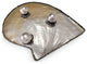 South Sea Shell Plate with Repose Silver set with Amethyst or Red Garnets, Red G