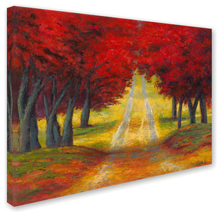 Daniel Moises 'Autumn Pathway' Canvas Art