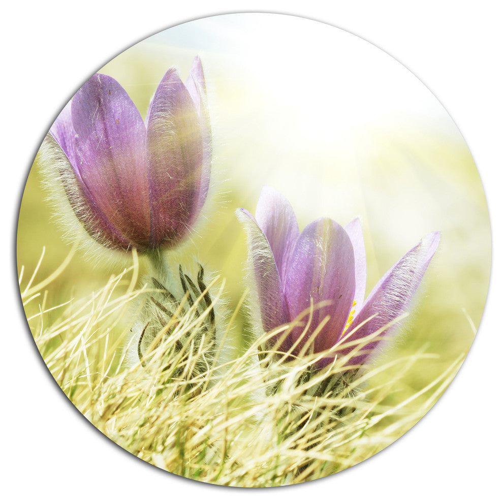 Purple Flowers In Green Grass, Modern Flower Round Wall Art, 36"