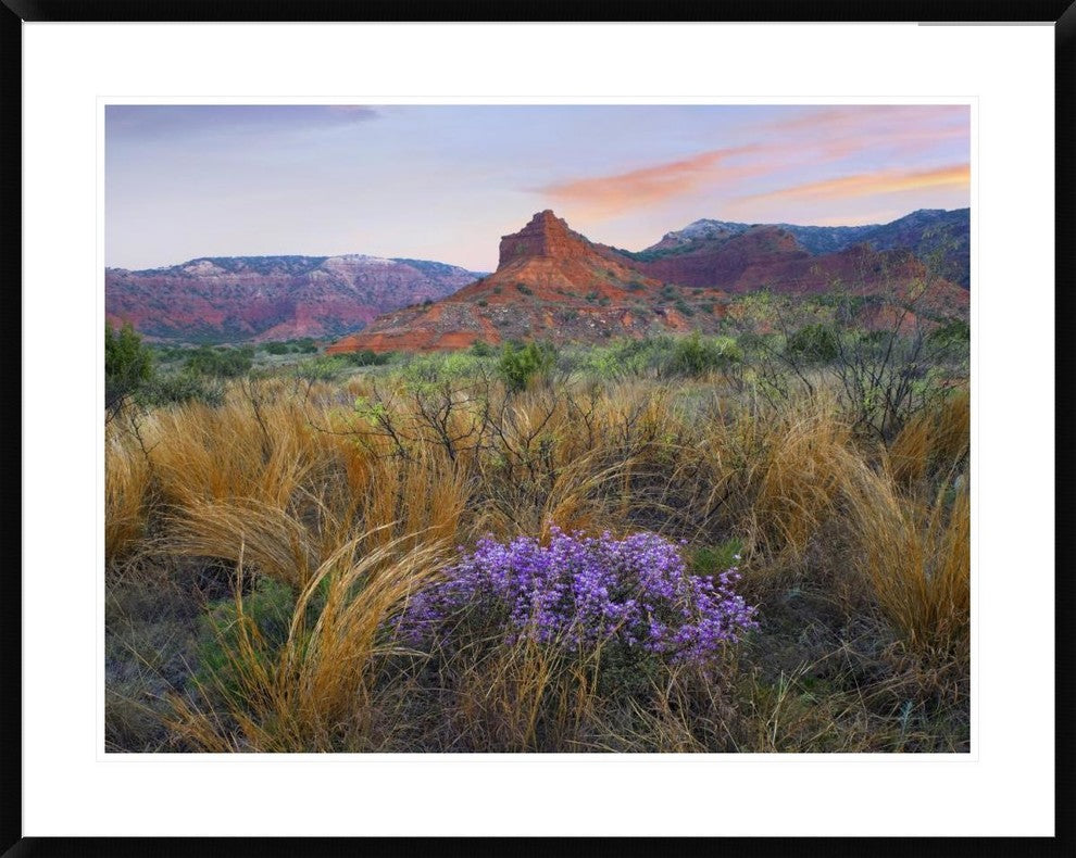 "Caprock Canyons State Park, Texas"  by Tim Fitzharris, 40x32"