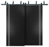 Barn Bypass Doors 84 x 96 | Planum 0310 Matte Black with  | Sturdy 8ft