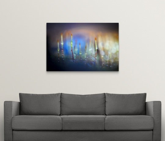"Evening Moss" Wrapped Canvas Art Print, 48"x32"x1.5"