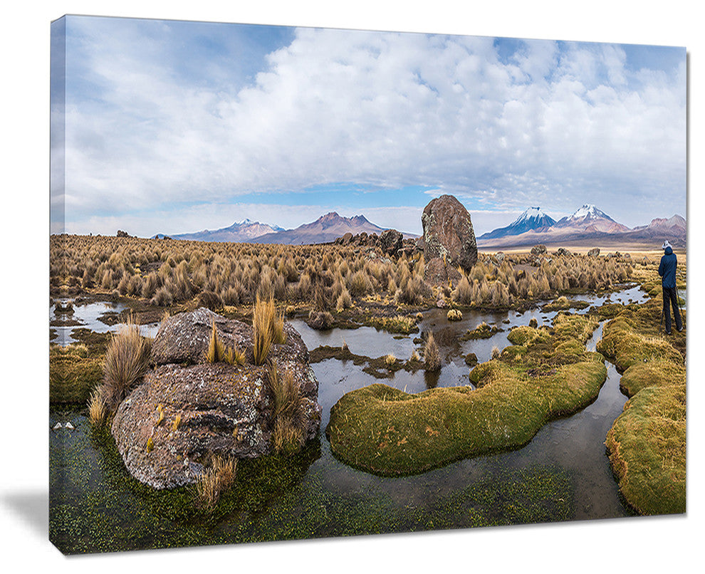 "Bolivia Volcanoes Panoramic View" Landscape Print Wall Art, 20"x12"