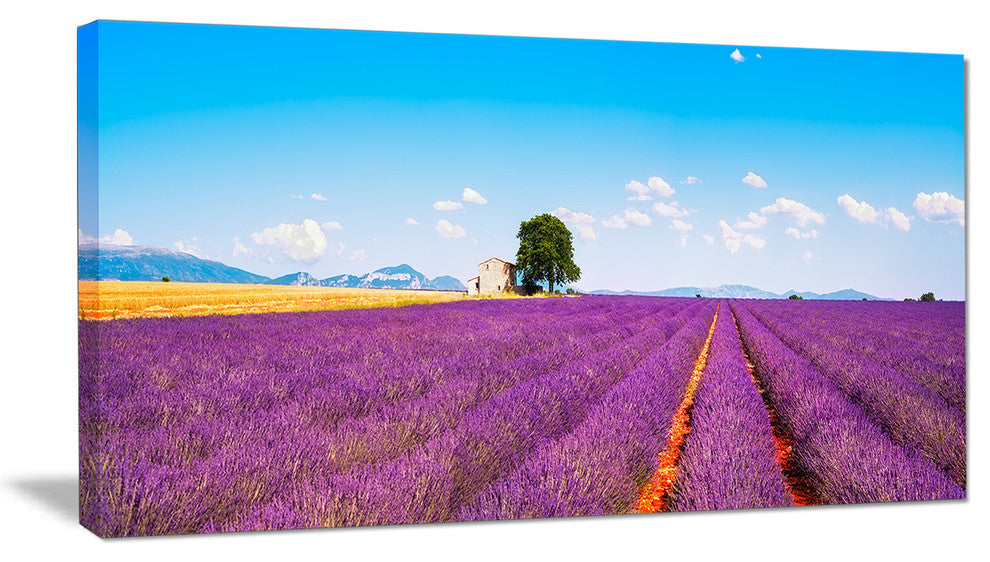 "Remote House And Tree in Lavender Field" Landscape Wall Art, 1 Panel, 60"x28"