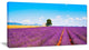 "Remote House And Tree in Lavender Field" Landscape Wall Art, 1 Panel, 60"x28"