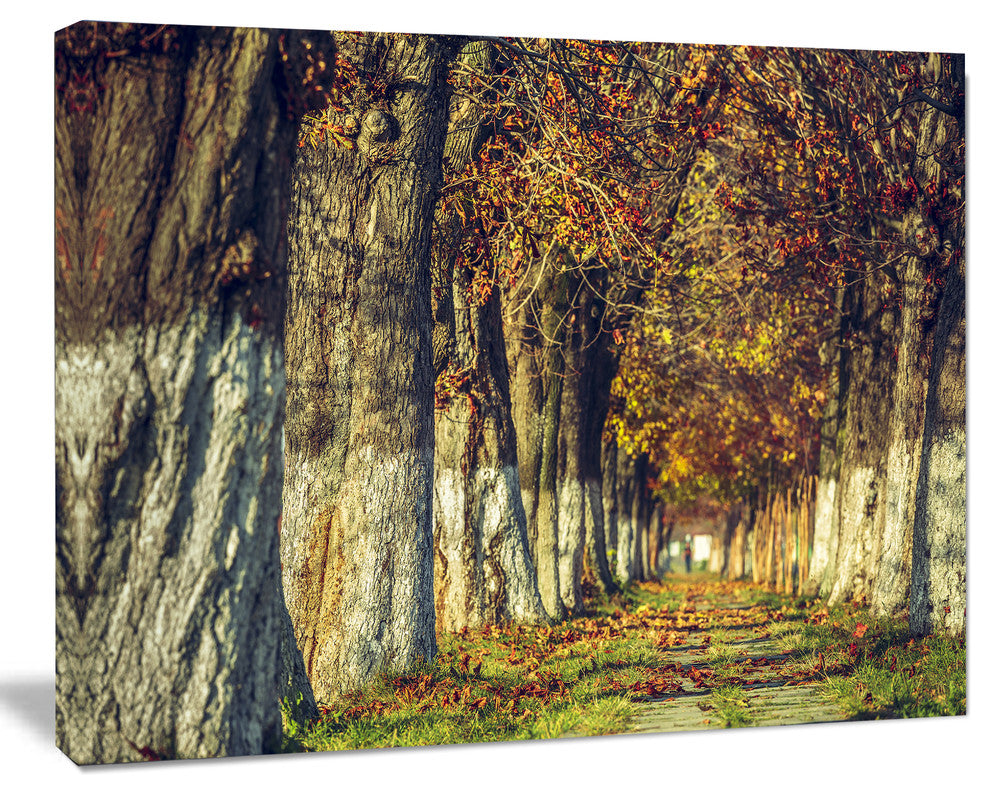 Colorful and Serene Autumn Forest, Modern Forest Canvas Art, 20"x12"