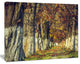 Colorful and Serene Autumn Forest, Modern Forest Canvas Art, 20"x12"