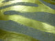 Gold Striped Zebra