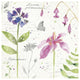 "Soft Nature IV" Digital Paper Print by Anne Tavoletti, 32"x32"