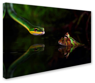 Unknown Artist 'Snake' Canvas Art, 16x24