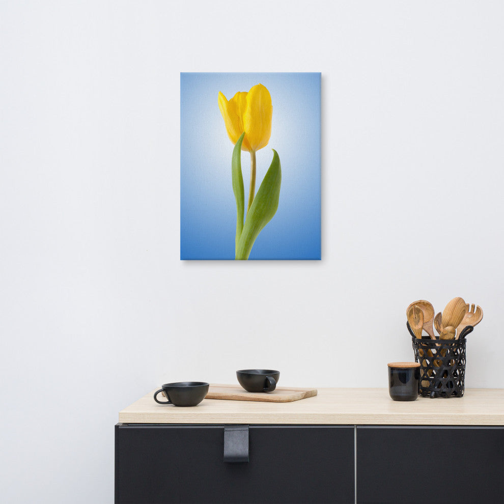 Yellow Tulip Minimal Botanical Floral Nature Photo Canvas Wall Art Print, 18" X 24"