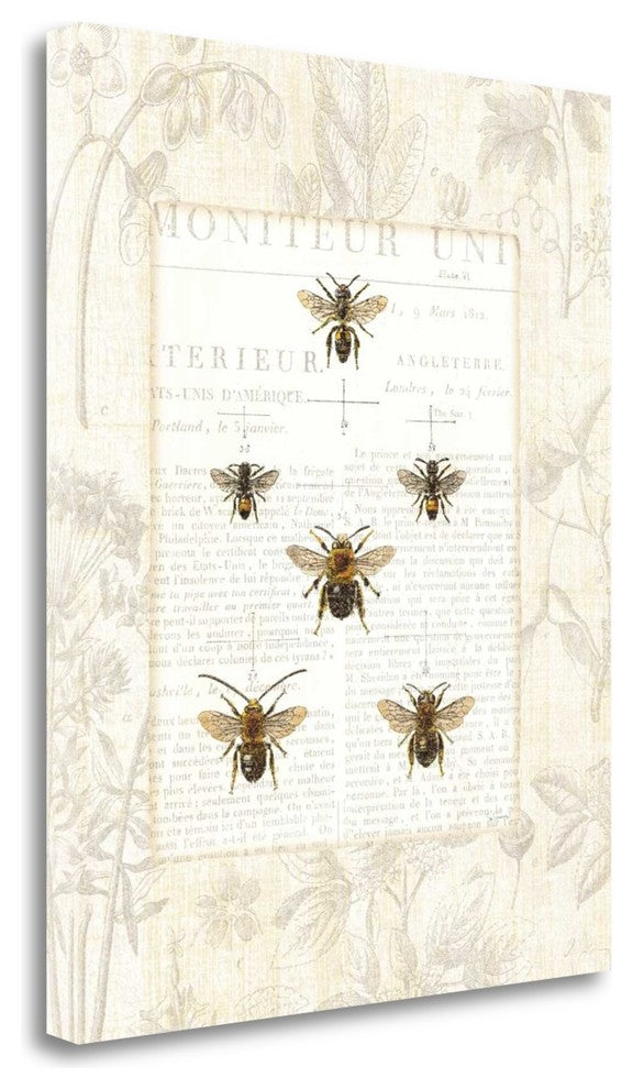 "Bee Botanical" By Sue Schlabach, Giclee Print on Gallery Wrap Canvas