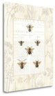 "Bee Botanical" By Sue Schlabach, Giclee Print on Gallery Wrap Canvas