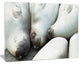 Sea Elephants Taking Nap, Abstract Canvas Art Print, 20"x12"