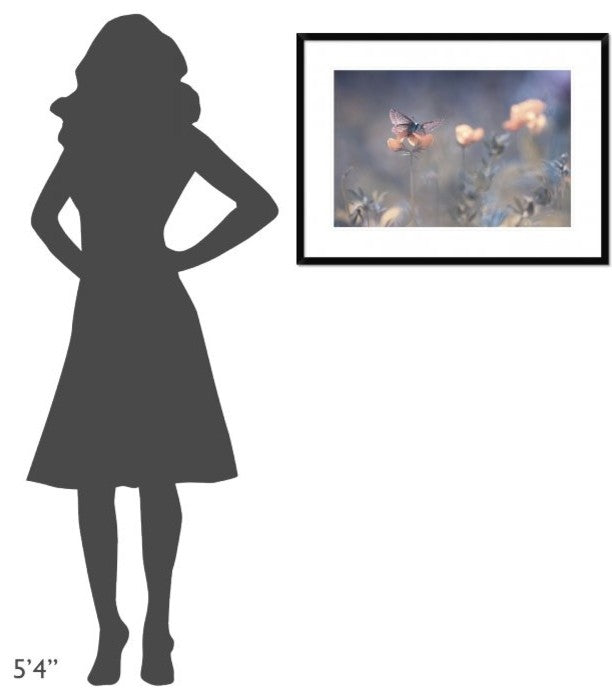 "The Lady Of Lothlorien" Framed Digital Print by Fabien Bravin, 32x24"