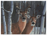 Rusty Frentner 'Deer Magic' Canvas Art, 47"x35"