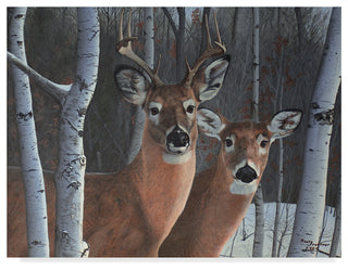 Rusty Frentner 'Deer Magic' Canvas Art, 47"x35"