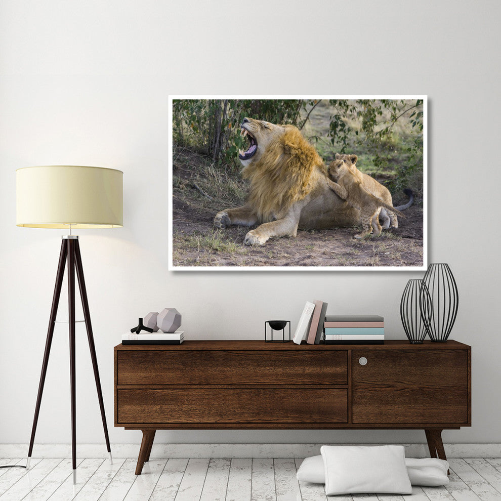 "Lion cubs playing, vulnerable, Masai Mara National Reserve" Paper Art, 62"x42"