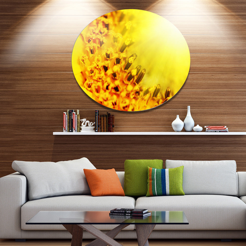 Bright Yellow Sunflower Close-Up, Floral Disc Metal Wall Art, 36"