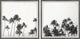 Endless Summers Diptych, 2-Piece Set, 24x24 Panels