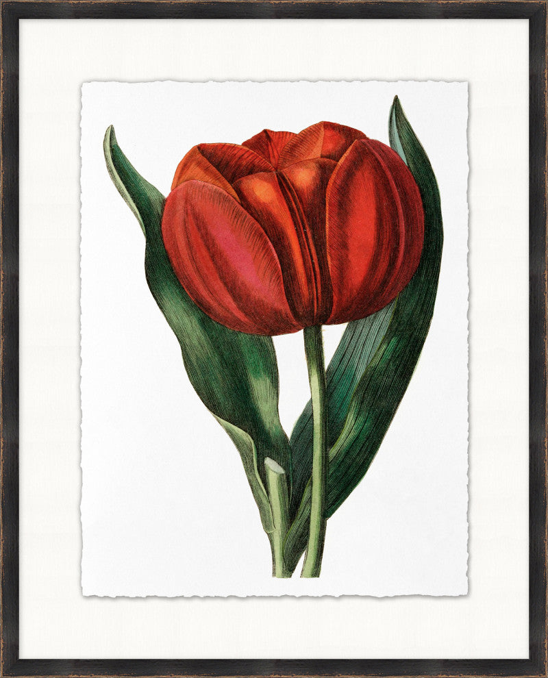 Red Flower 5, Giclee Reproduction Artwork