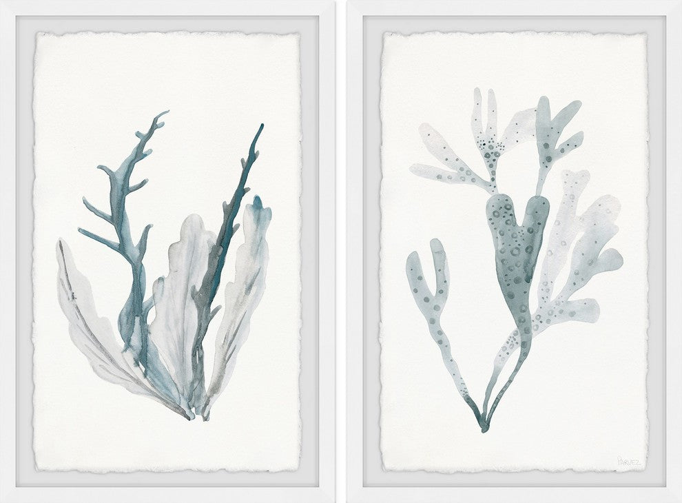Corals in Blue Diptych, 16"x12"