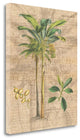 "Palm Study I" By Wild Apple Portfolio, Giclee Print on Gallery Wrap Canvas