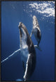 "Back To The Surface" Framed Canvas Giclee by Barathieu Gabriel, 21x31"