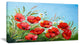 Poppies in Field against Blue Sky, Floral Canvas Art Print, 32"x16"