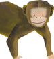 Wild Animals, Tropical Leaves Vinyl Wall Sticker, Monkey
