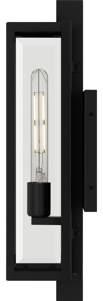 Quoizel DLE8405 Dale 20" Tall Outdoor Wall Sconce - Matte Black