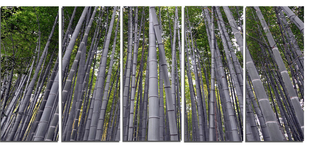 "Thick Bamboo Trunks in Japan" Forest Canvas Wall Art Print, 5 Panels, 60"x28"