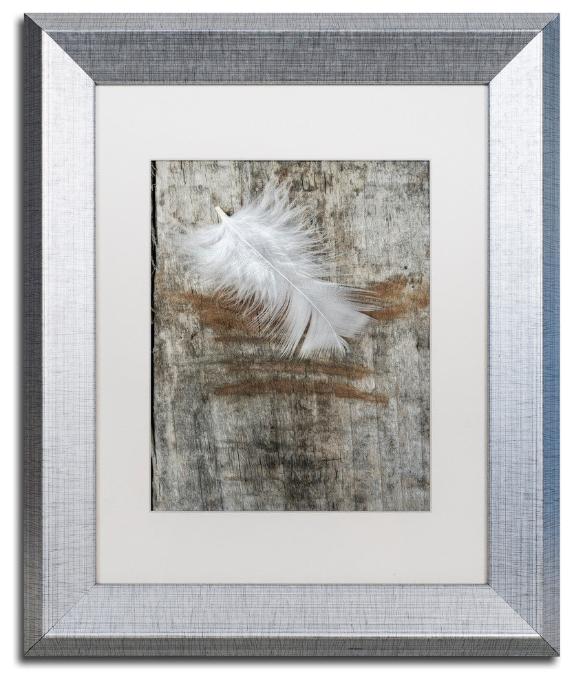 Cora Niele 'White Feather on Wood' Matted Framed Art