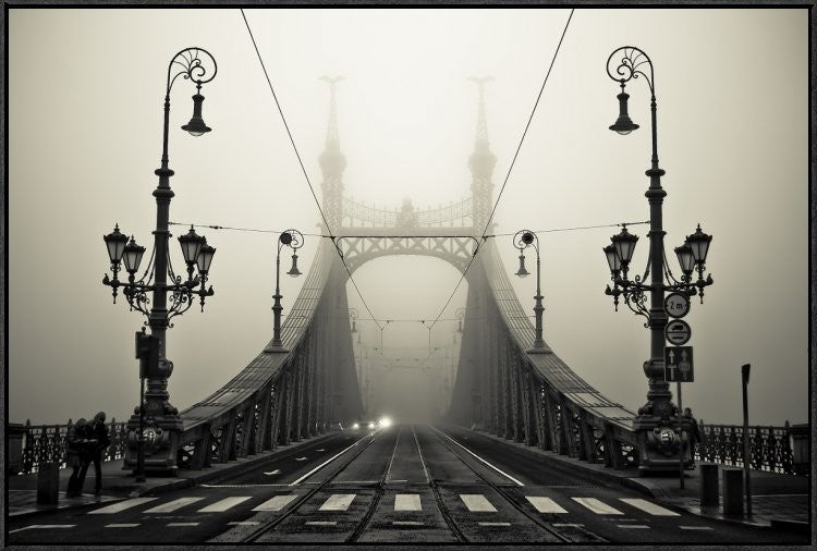"The Bridge" Framed Canvas Giclee by Arminmarten, 37x25"