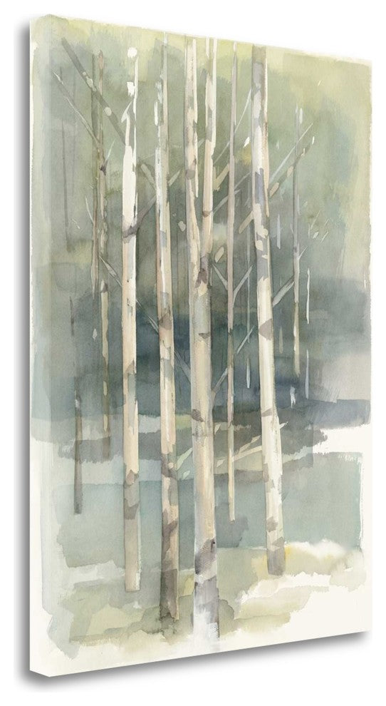 "Birch Grove I" By Avery Tillmon, Giclee Print on Gallery Wrap Canvas