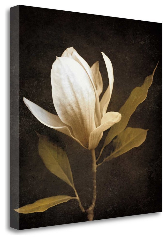 "Grandeur" By Ily Szilagyi, Giclee Print on Gallery Wrap Canvas, Ready to Hang