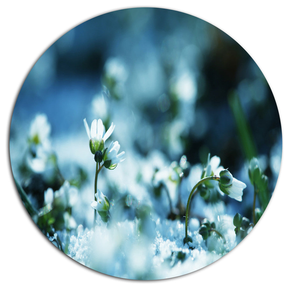 White Flowers On Blue Background, Modern Flower Round Wall Art, 11"