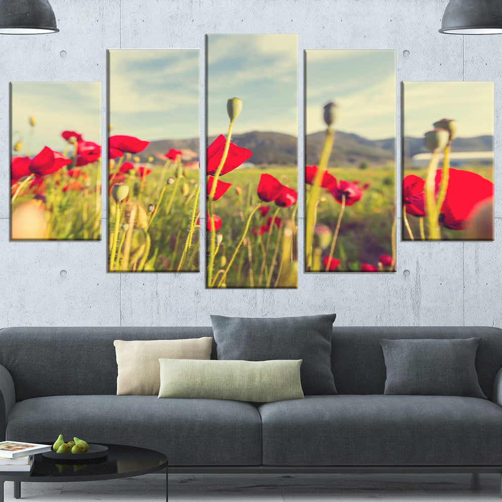 Wild Red Poppy Flowers in Field, Large Flower Canvas Print, 60"x32", 5 Panels