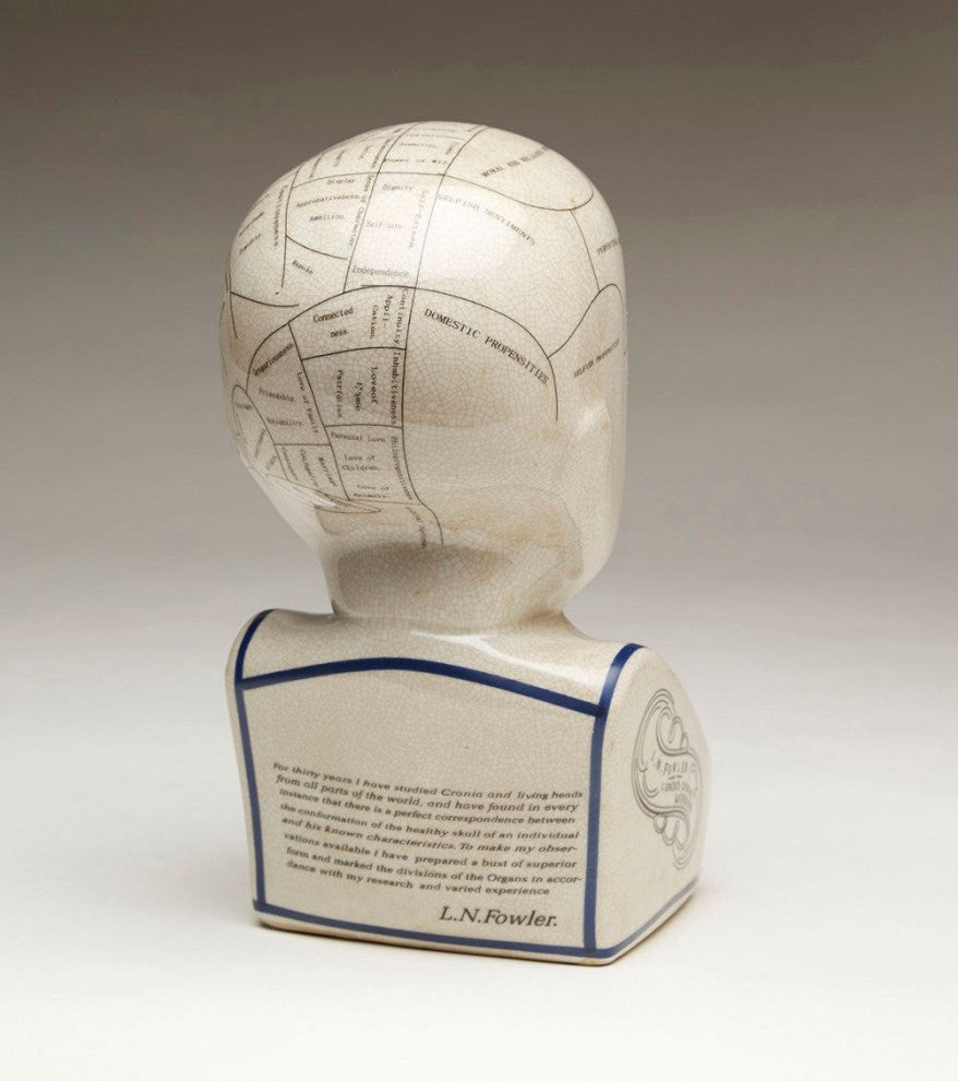 Crackle Ceramic Phrenology Bust, White