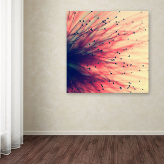 'Into the Future' Canvas Art by Beata Czyzowska Young