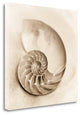"Il Oceano No. 4" By Alan Blaustein, Giclee Print on Gallery Wrap Canvas