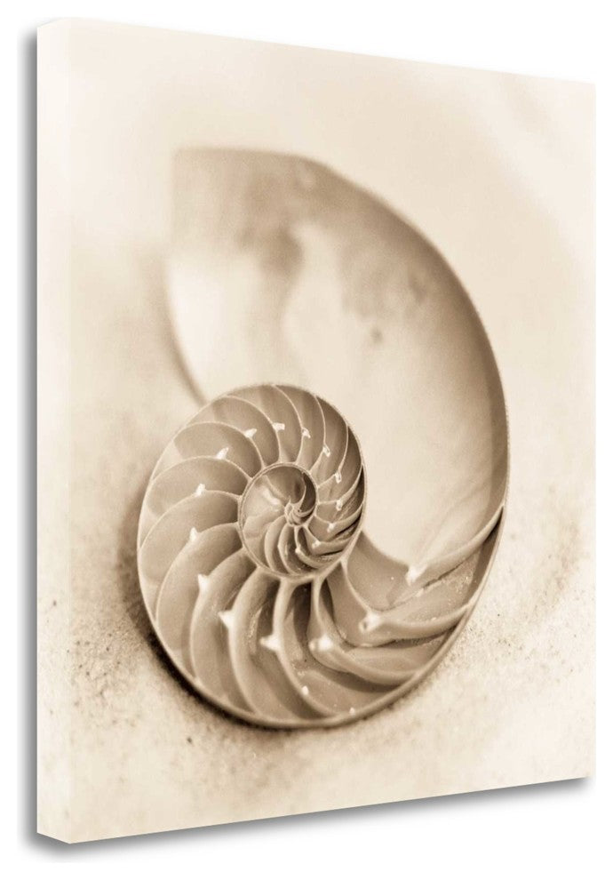 "Il Oceano No. 4" By Alan Blaustein, Giclee Print on Gallery Wrap Canvas