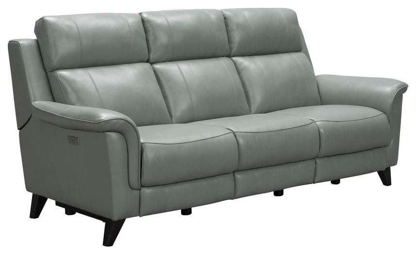 Kester Power Reclining Sofa w/Power Head Rests, Lorenzo Mint
