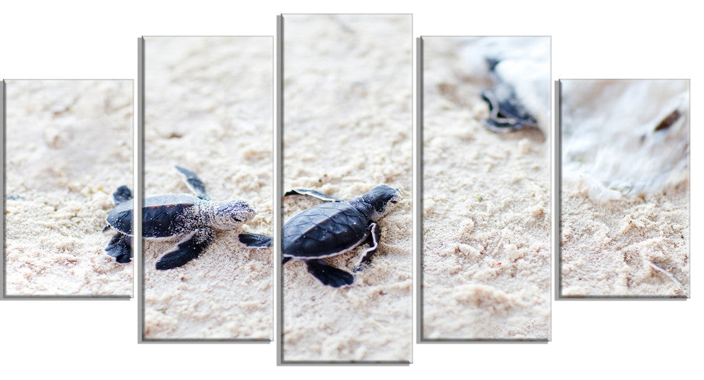 Baby Green Turtles on Sand, Oversized Animal Wall Art, 60"x32", 5 Panels