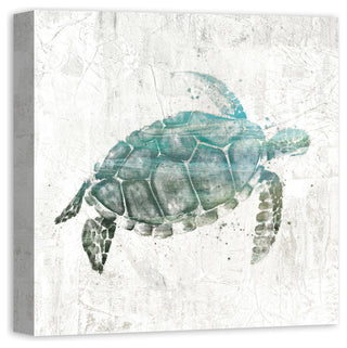 Turquoise Sea Turtle Canvas Wall Art, 20"x20"